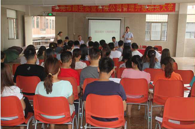 2015年6月1日—至今東莞市穎生實業(yè)有限公司推行全面管理升級 2015年6月1日—至今東莞市穎生實業(yè)有限公司推行全面管理升級