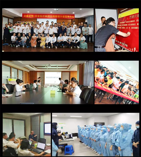 貝普醫(yī)療科技股份有限公司全面管理升級項目圓滿成功 貝普醫(yī)療科技股份有限公司全面管理升級項目圓滿成功