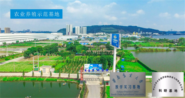 生生農(nóng)業(yè)集團(tuán)股份有限公司戰(zhàn)略梳理&組織規(guī)劃項(xiàng)目啟動 生生農(nóng)業(yè)集團(tuán)股份有限公司戰(zhàn)略梳理&組織規(guī)劃項(xiàng)目啟動