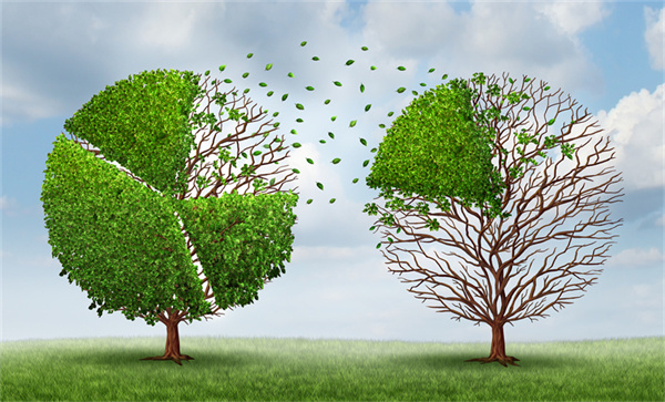 股權(quán)激勵(lì) 股權(quán)激勵(lì)