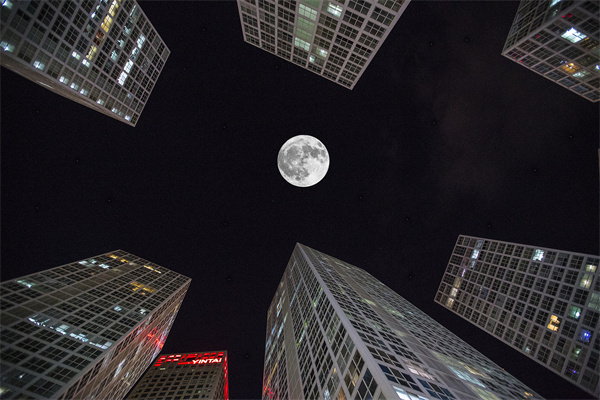 「營銷管理咨詢」解鎖社交媒體的力量，讓品牌騰飛！