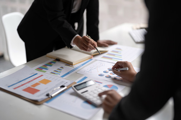 彈性預(yù)算咨詢：應(yīng)對(duì)市場(chǎng)變化，優(yōu)化預(yù)算策略