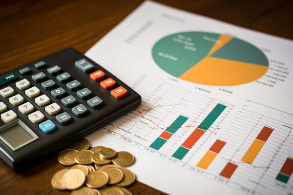 強化集團管控：財務(wù)，人力資源，信息技術(shù)的整合