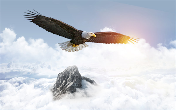 組織規(guī)劃引領企業(yè)變革，塑造全新管理模式與未來