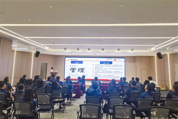 廣東飛翔云計算有限公司組織設計&人力資源管理升級項目圓滿成功 廣東飛翔云計算有限公司組織設計&人力資源管理升級項目圓滿成功