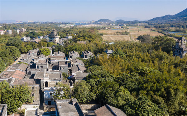 江門管理咨詢公司如何定制高效解決方案？