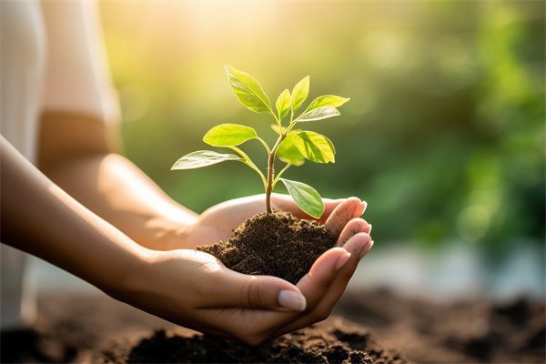 可持續(xù)發(fā)展成為趨勢，企業(yè)如何融入綠色戰(zhàn)略以促增長？