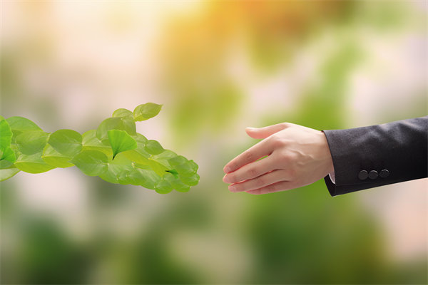 可持續(xù)發(fā)展成為趨勢，企業(yè)如何融入綠色戰(zhàn)略以促增長？