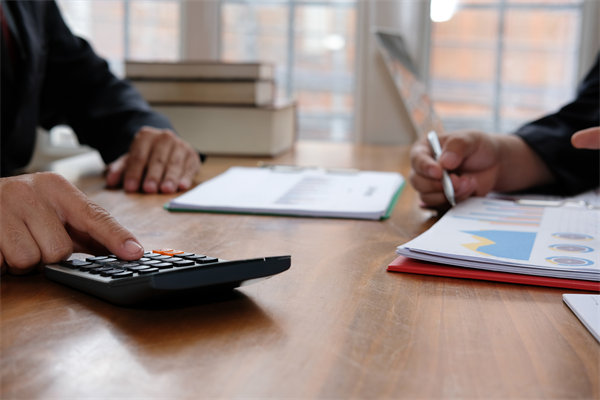 預算管理系統(tǒng)中，如何平衡自動化與人工審核的利弊？