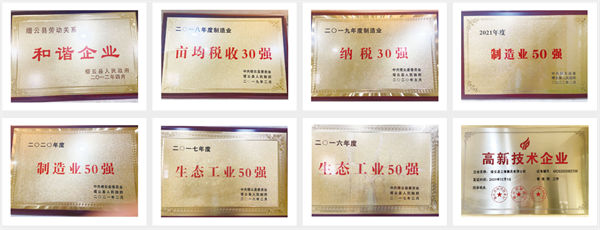 縉云縣三鋒模具有限公司榮譽(yù)證書 縉云縣三鋒模具有限公司榮譽(yù)證書