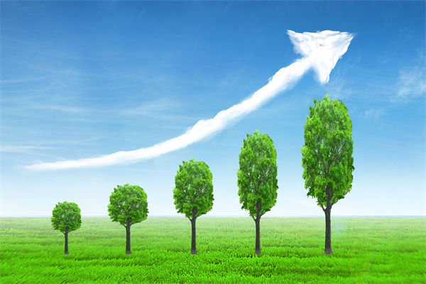 植樹就是植未來，對企業(yè)的戰(zhàn)略規(guī)劃有哪些啟示？