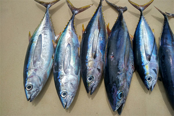 商務(wù)部：將幫助外貿(mào)企業(yè)擴(kuò)寬內(nèi)銷渠道，政策解讀！