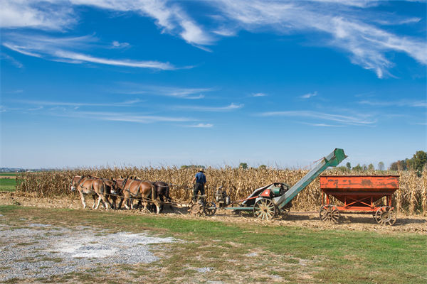 從績效管理角度分析:中國買巴西大豆讓美國農(nóng)民慌了 從績效管理角度分析:中國買巴西大豆讓美國農(nóng)民慌了