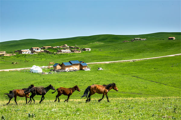 飛新疆的機票價格漲爆了，什么情況？是營銷炒作？
