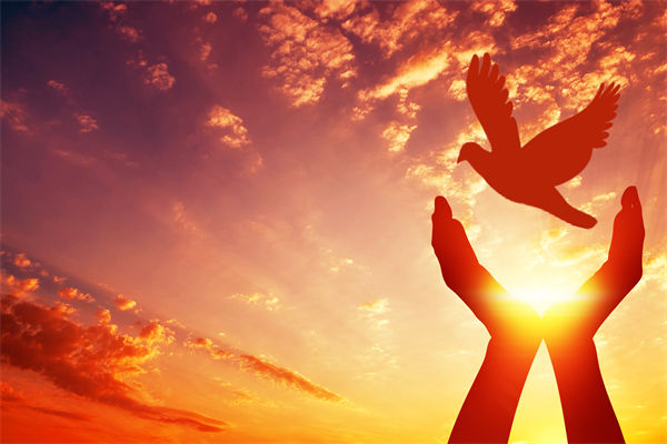 別讓盲卡盲盒“收割”孩子，關聯(lián)企業(yè)戰(zhàn)略怎么看？