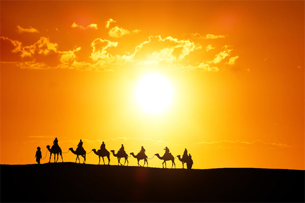 高層標(biāo)榜的企業(yè)文化，如何穿透形式真正落地生根？