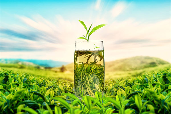 供應(yīng)鏈管理分析:多個(gè)奶茶品牌回應(yīng)檢出反式脂肪酸 供應(yīng)鏈管理分析:多個(gè)奶茶品牌回應(yīng)檢出反式脂肪酸