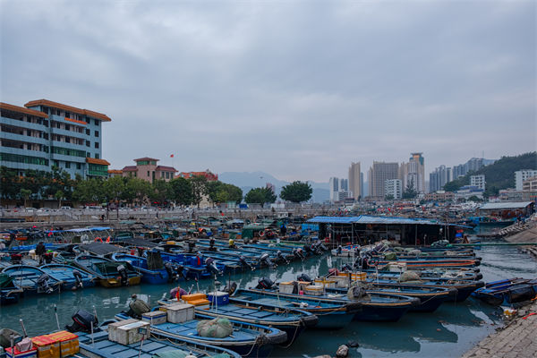 精益生產(chǎn)分析：開海第一網(wǎng)撈8000斤，船長(zhǎng)合不攏嘴