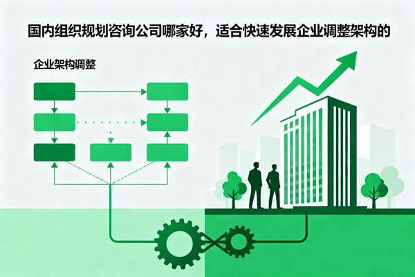 國(guó)內(nèi)組織規(guī)劃咨詢(xún)公司哪家好，適合快速發(fā)展企業(yè)調(diào)整架構(gòu)的