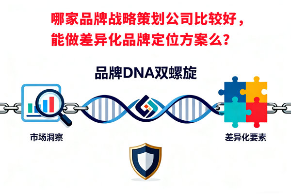 哪家品牌戰(zhàn)略策劃公司比較好，能做差異化品牌定位方案么？